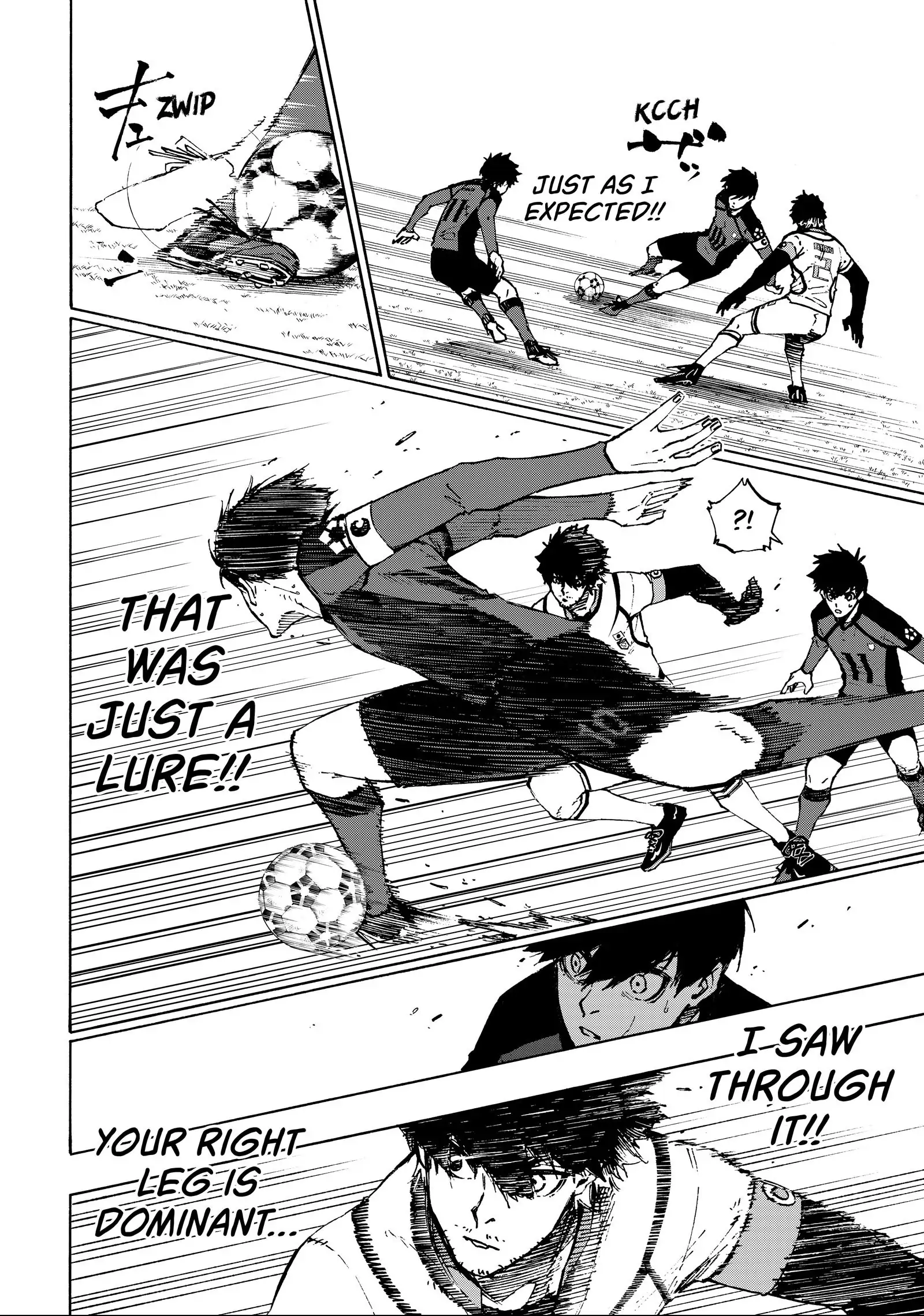 19018008 1600 2280 505504