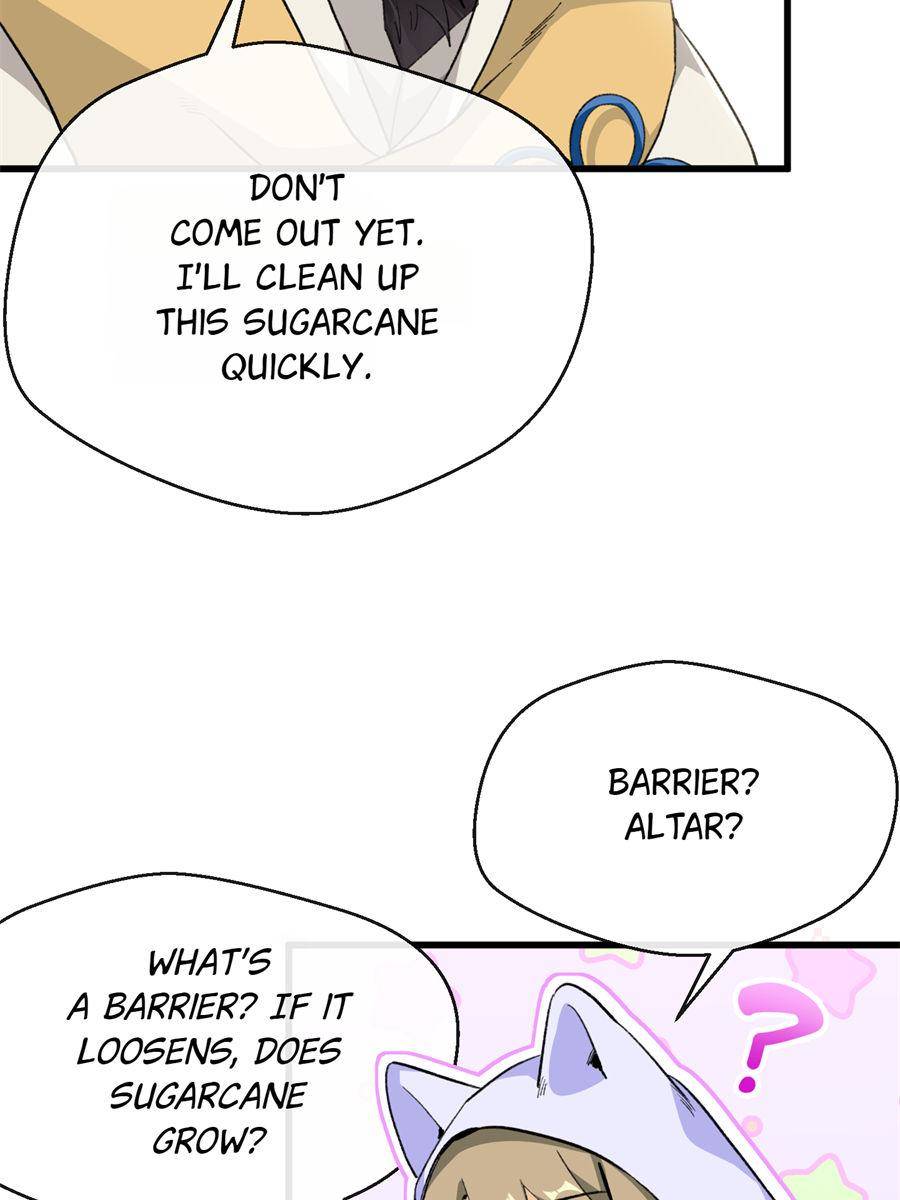 81436213 900 1200 82231